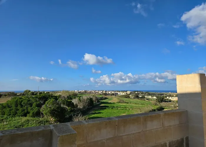 Case de vacanță Cozy